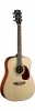 Cort Earth70 NAT Cort Earth70 NAT